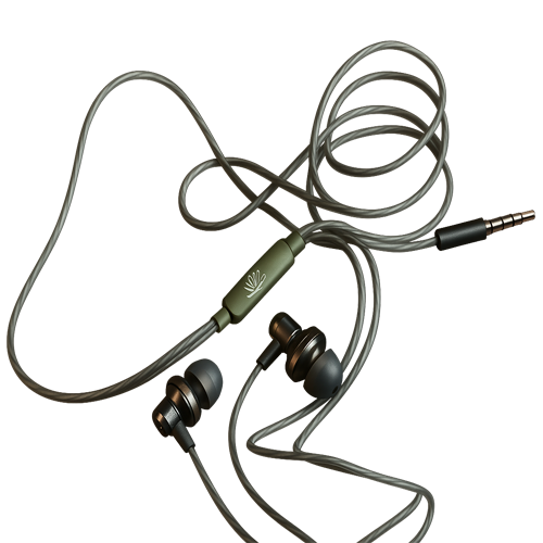 Earphones