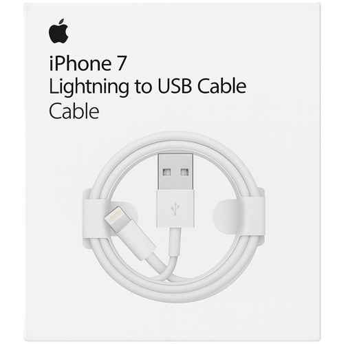 Apple USB-A to Lightning Cable
